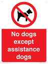 no-dogs-except-assistance-dogs~